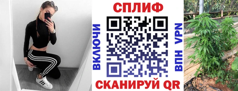 Где купить наркоту Данилов Амфетамин  МЕФ  NBOMe  Бошки Шишки  ГАШ  Cocaine  Альфа ПВП 