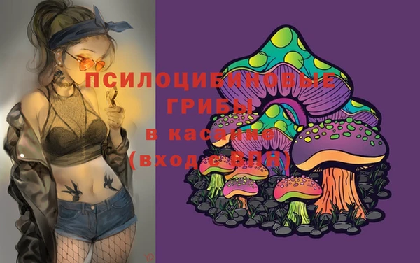 MDMA Абаза